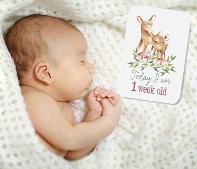 Toadstool Fawn Baby Milestone Cards